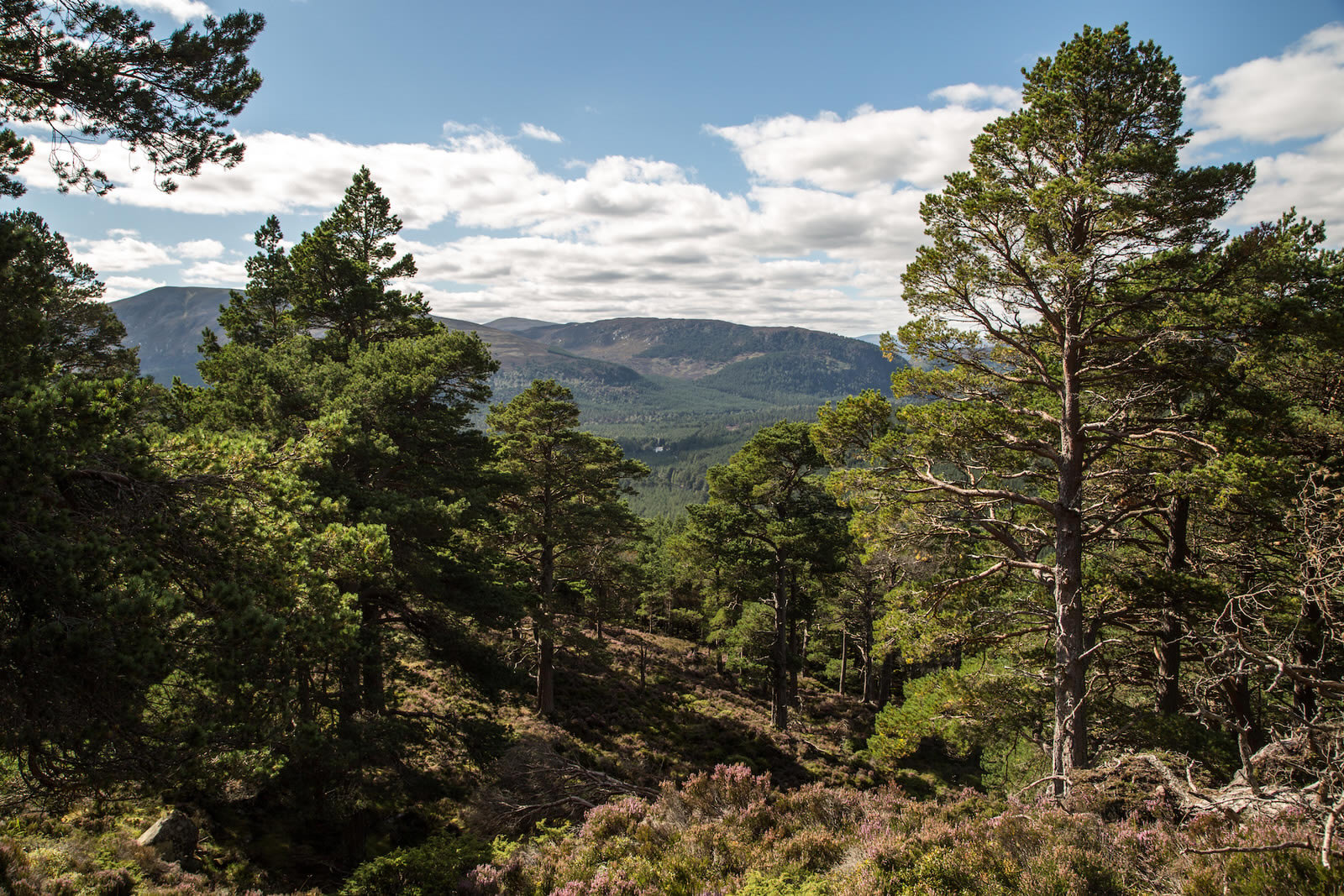 How To Find Us The Fife Arms Boutique Hotel, Braemar