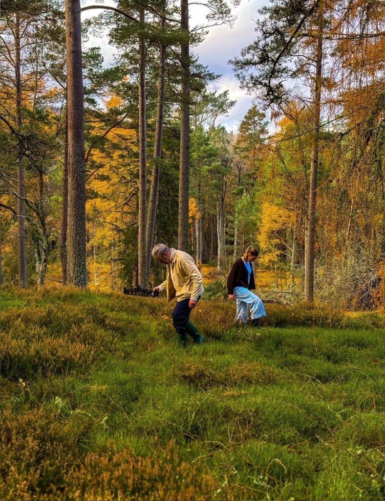 Two people foraging in the woods with autumn foliage.