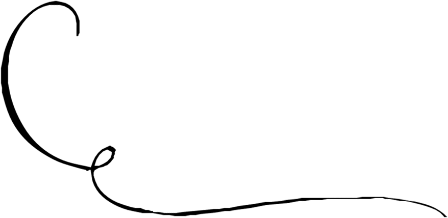 A black flourish line detail.