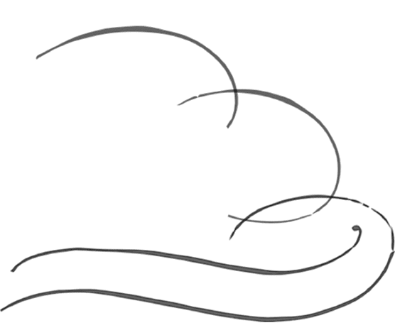 A black flourish line detail.