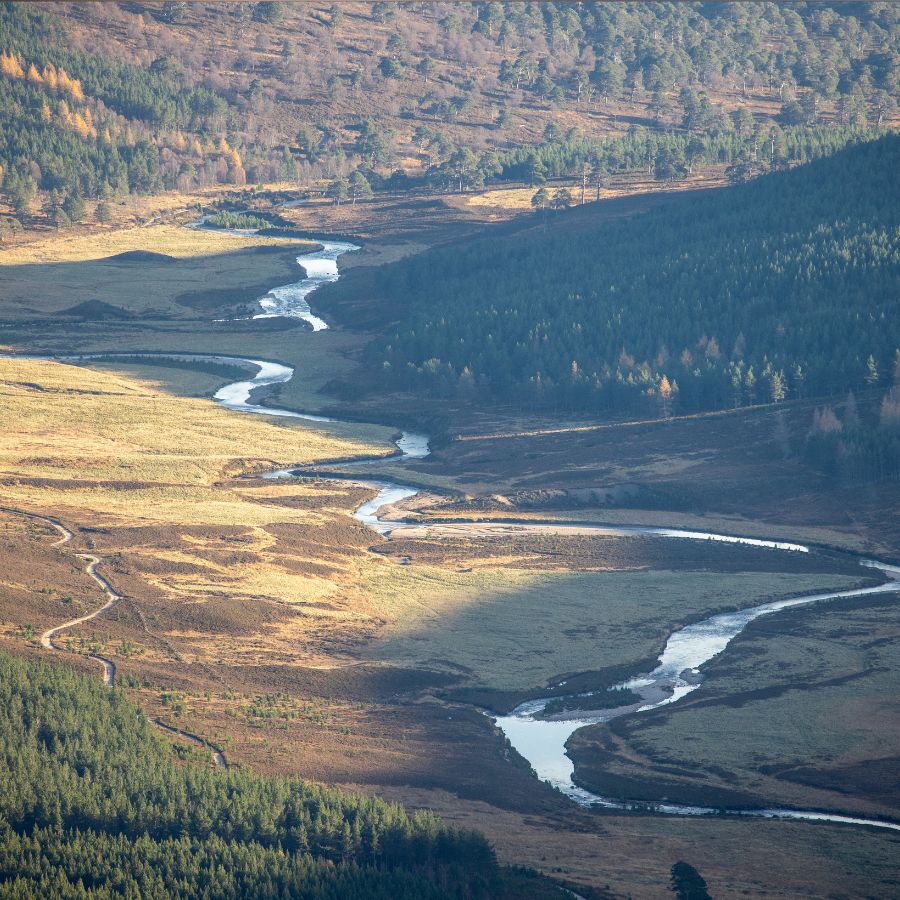 A Birdseye view of the River Dee