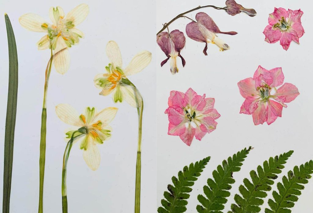 Artwork showing some daffodils and other spring flowers, created in the floral workshop