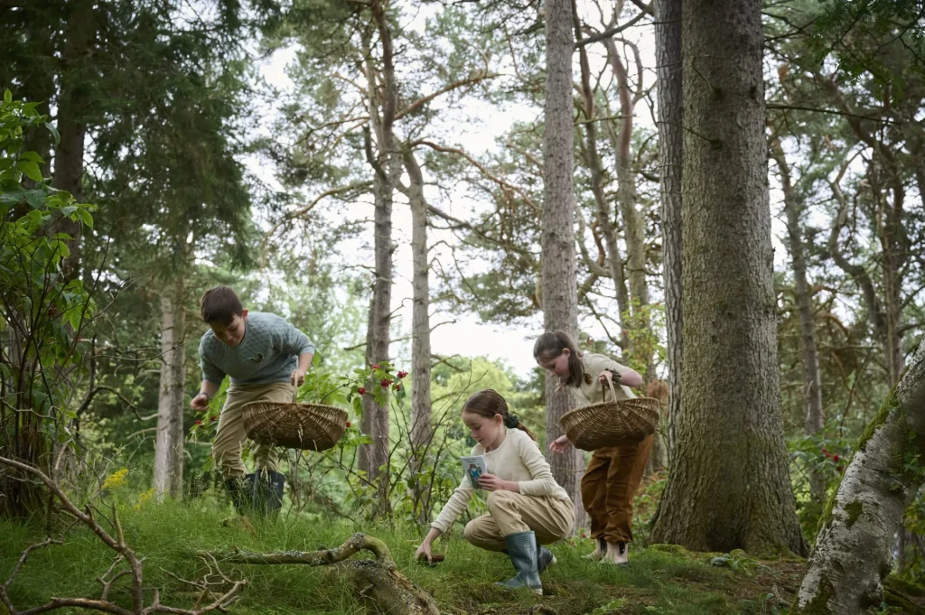 Children exploring in the woods on a foraging exploration