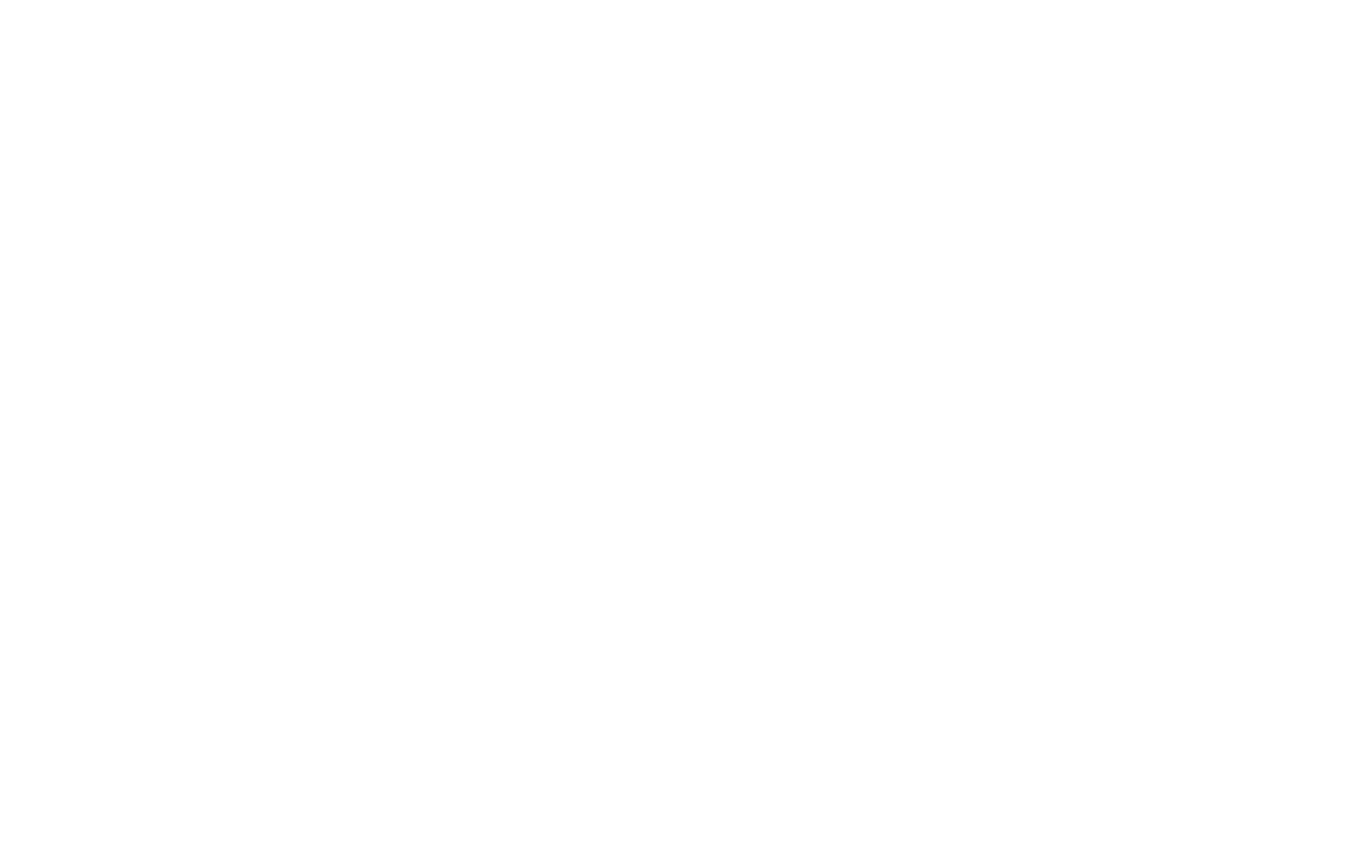 The Flying Stag