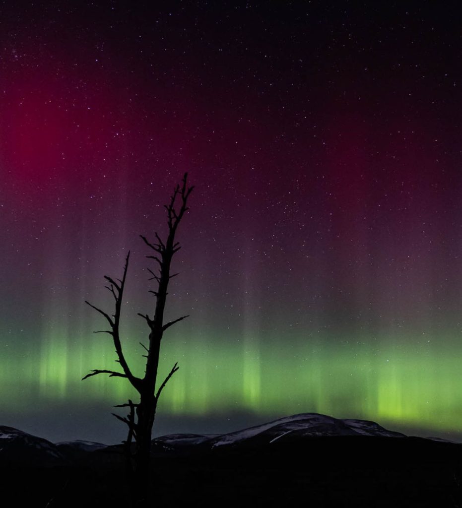 The Aurora Borealis on view above Braemar
