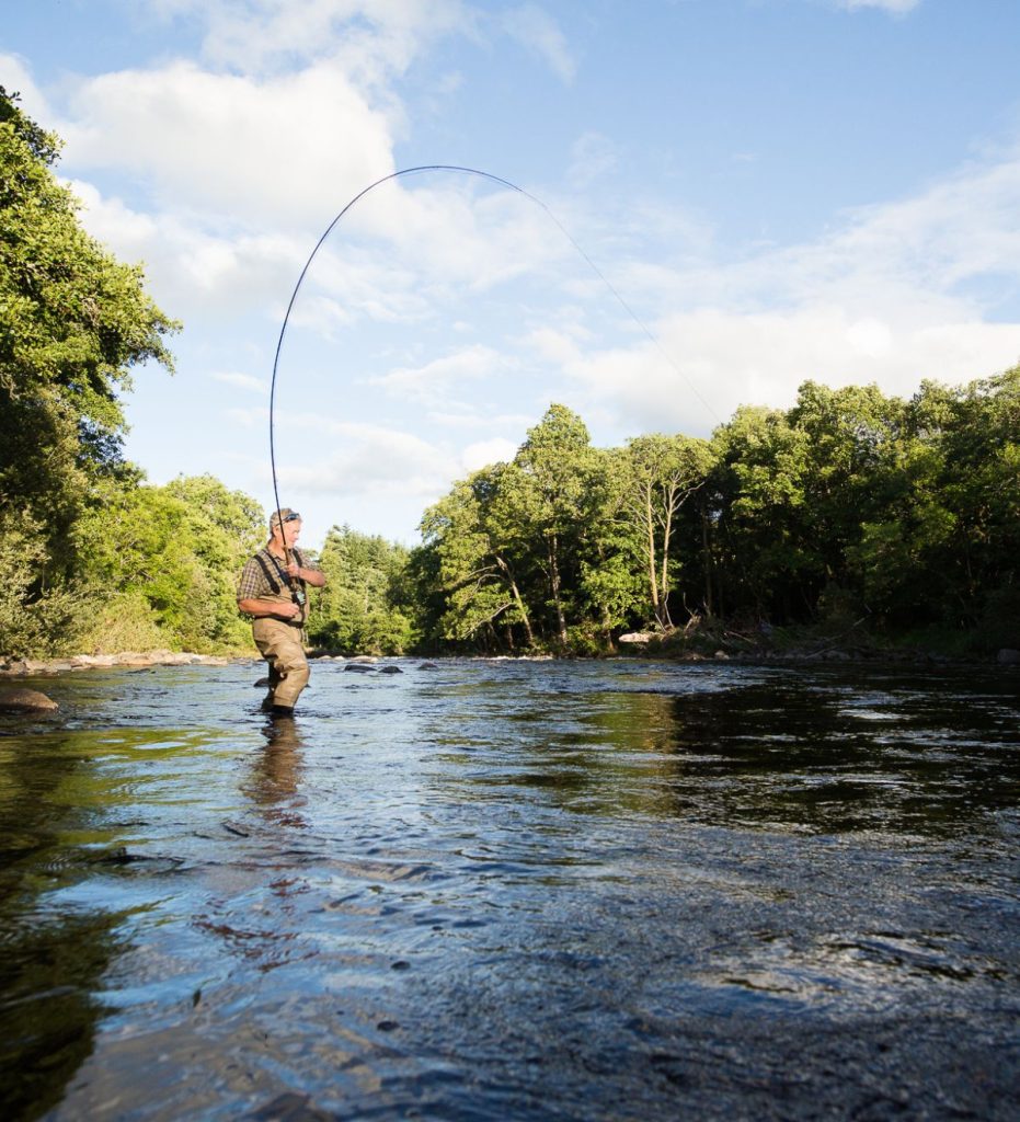 Man fishing during the summer surrounded by trees