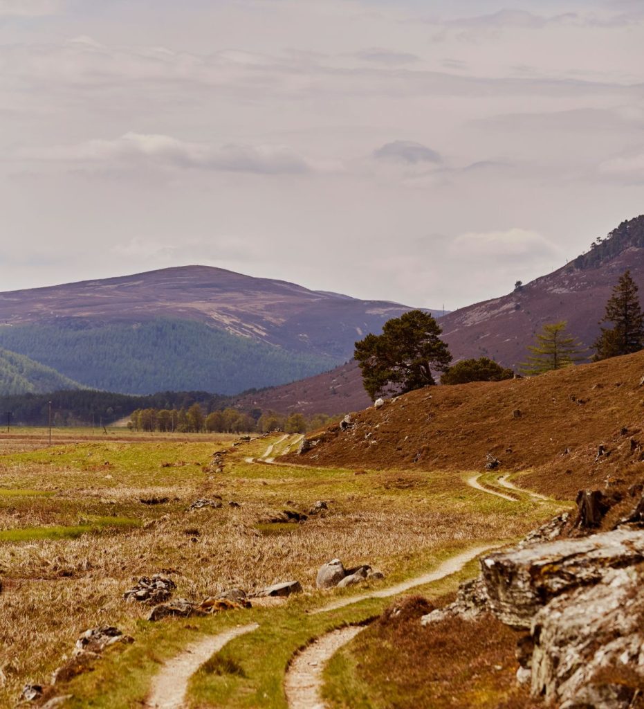 Road and bike tracks in Royal Deeside