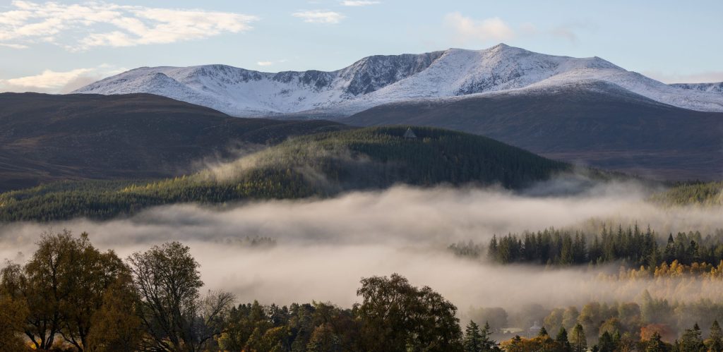 Mist drifts through a forested valley with snow‑capped mountains rising in the background.