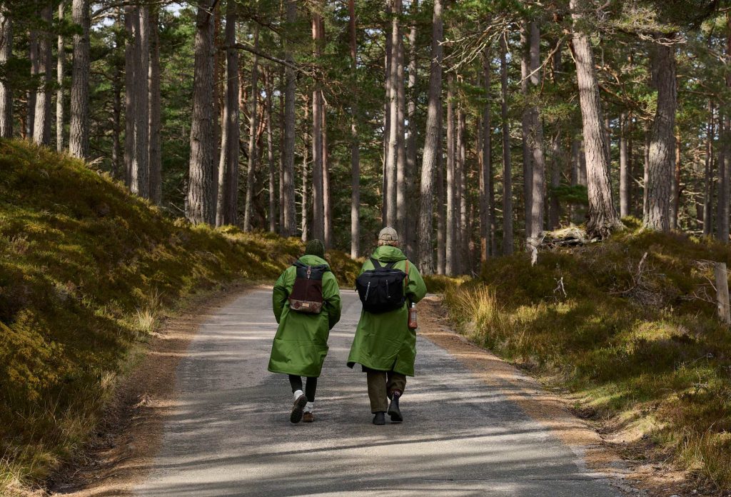 Two walkers walking away along a road through a Scottish forest.