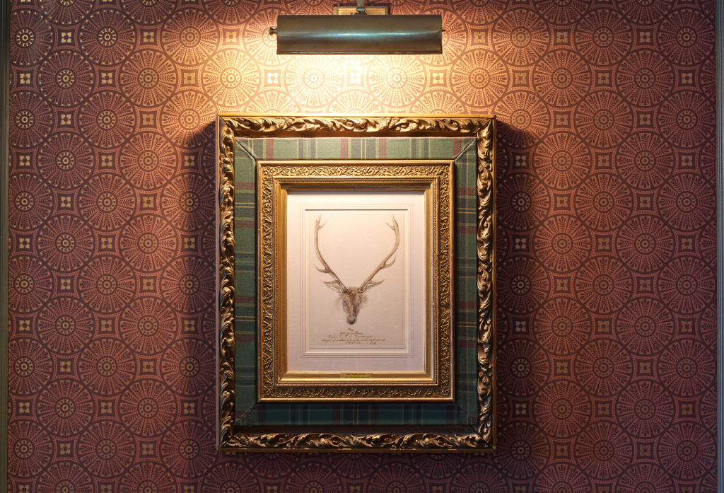 A sketch of a stag by Queen Victoria