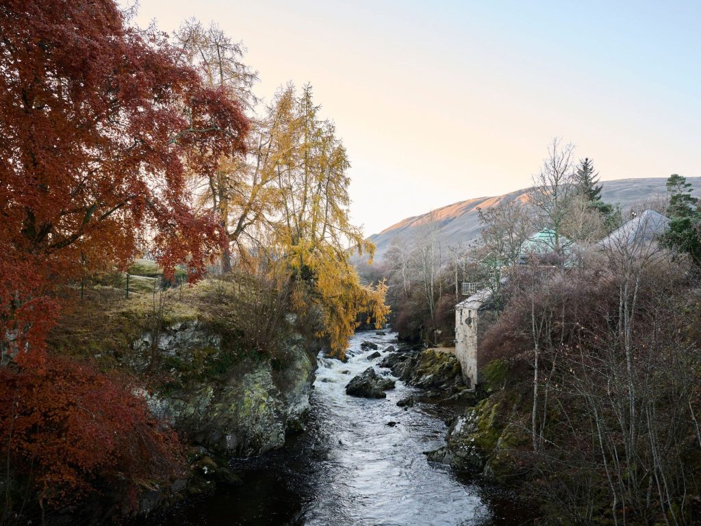 A river in late autumn with red and golden trees either side
