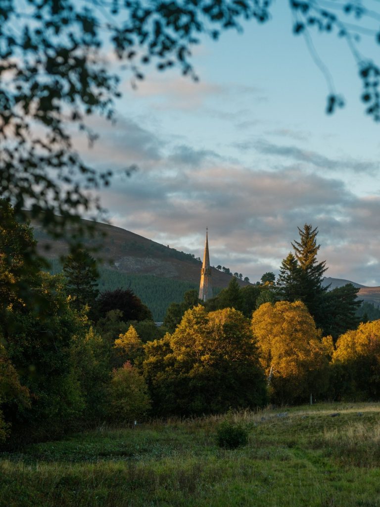 An autumnal landscape with a church spire rising above orange trees