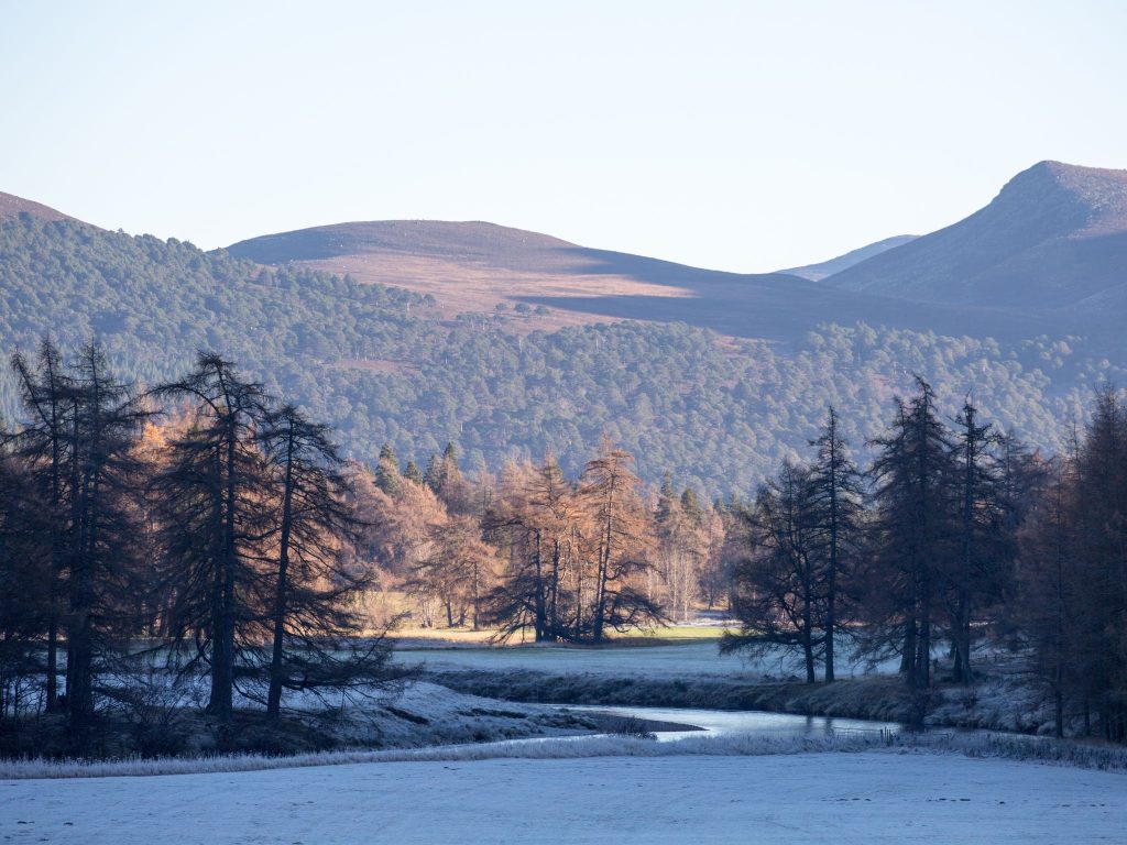 A river winding through a snowy landscapes with mountains in the background